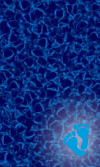 Aquarius HD