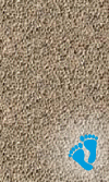 Sand Gunite