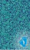 Terrazzo Caribbean
